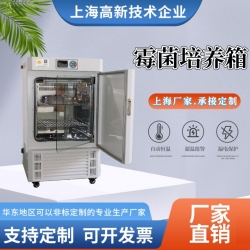 霉菌培養箱