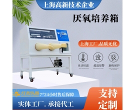 厭氧培養箱